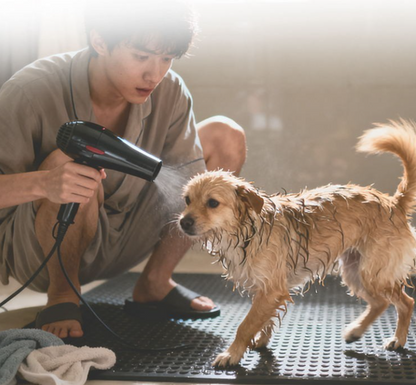 Anti-Wiggle Pet Grooming & Bath Support Frame